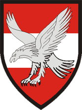 Verbandsabzeichen der Fliegerdivision