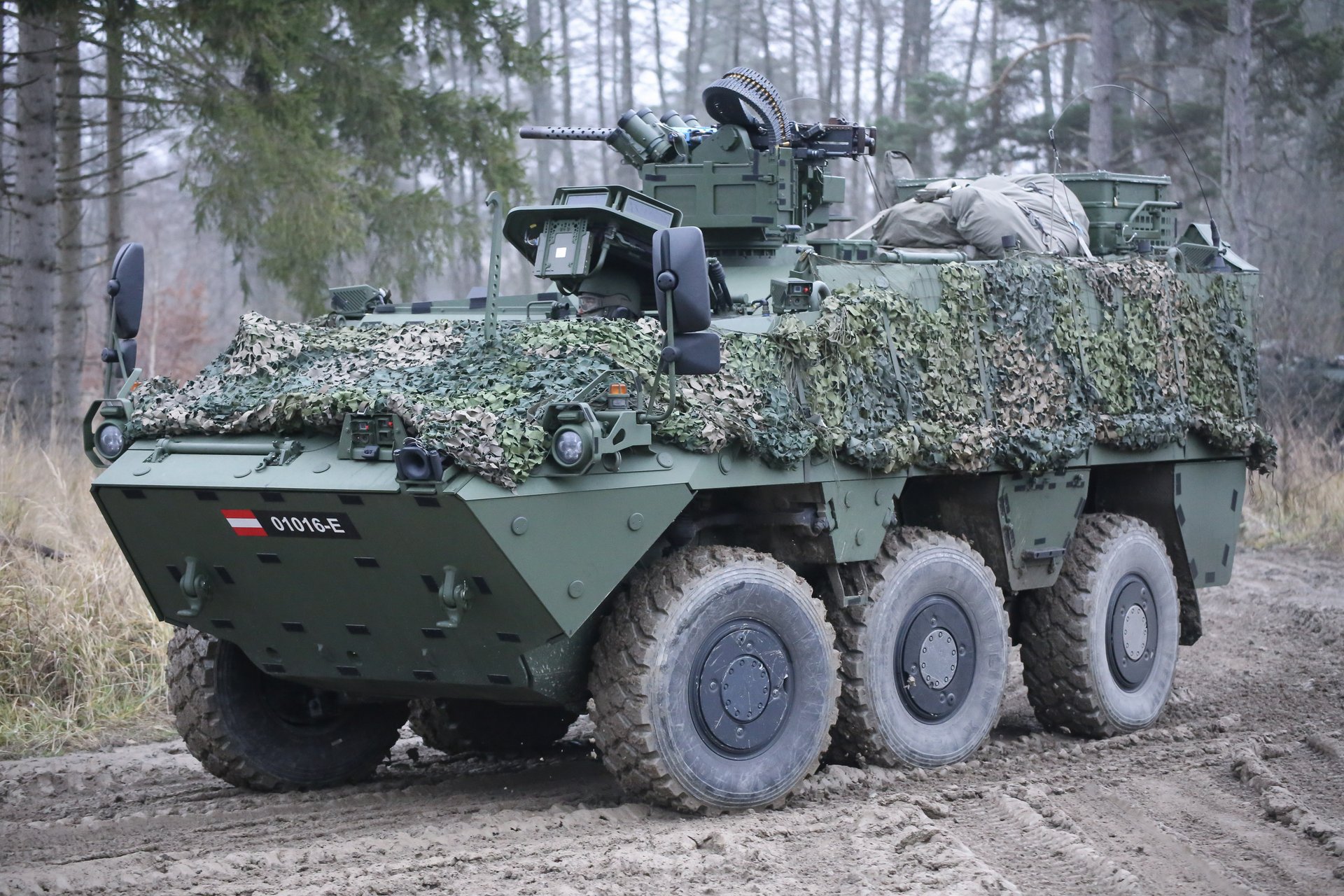 Ein Manschaftstransportpanzer "Pandur Evolution" am Truppenübungsplatz Allentsteig.