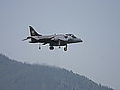 Harrier GR7. (Bild öffnet sich in einem neuen Fenster)