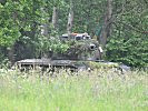Der Jagdpanzer Kürassier am Waldrand in Stellung. (Bild öffnet sich in einem neuen Fenster)