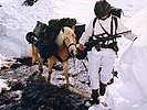 Die Soldaten verwenden Tragtiere für Transportaufgaben im steilen Gelände. (Bild öffnet sich in einem neuen Fenster)