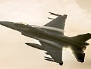 Auch die belgischen F-16 trainierten. (Bild öffnet sich in einem neuen Fenster)