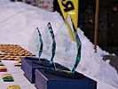 Die Trophäen und Auszeichnungen für die Teilnehmer der "Edelweiss Raid". (Bild öffnet sich in einem neuen Fenster)
