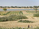 Am Fluss Schari wird Ackerbau betrieben. (Bild öffnet sich in einem neuen Fenster)