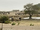 Die Viehzucht ist einer der Haupterwerbszweige im Tschad. (Bild öffnet sich in einem neuen Fenster)