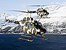 Die OH-58 "Kiowa" unterstützten Spezialeinsatzkräfte mehrerer Nationen. (Bild öffnet sich in einem neuen Fenster)