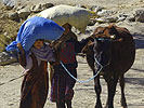 Kinder Transportieren Säcke und Vieh. (Bild öffnet sich in einem neuen Fenster)