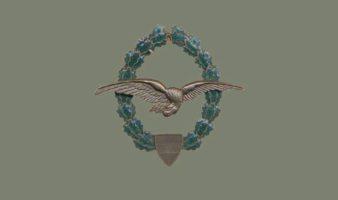 Abzeichen Militärpilot