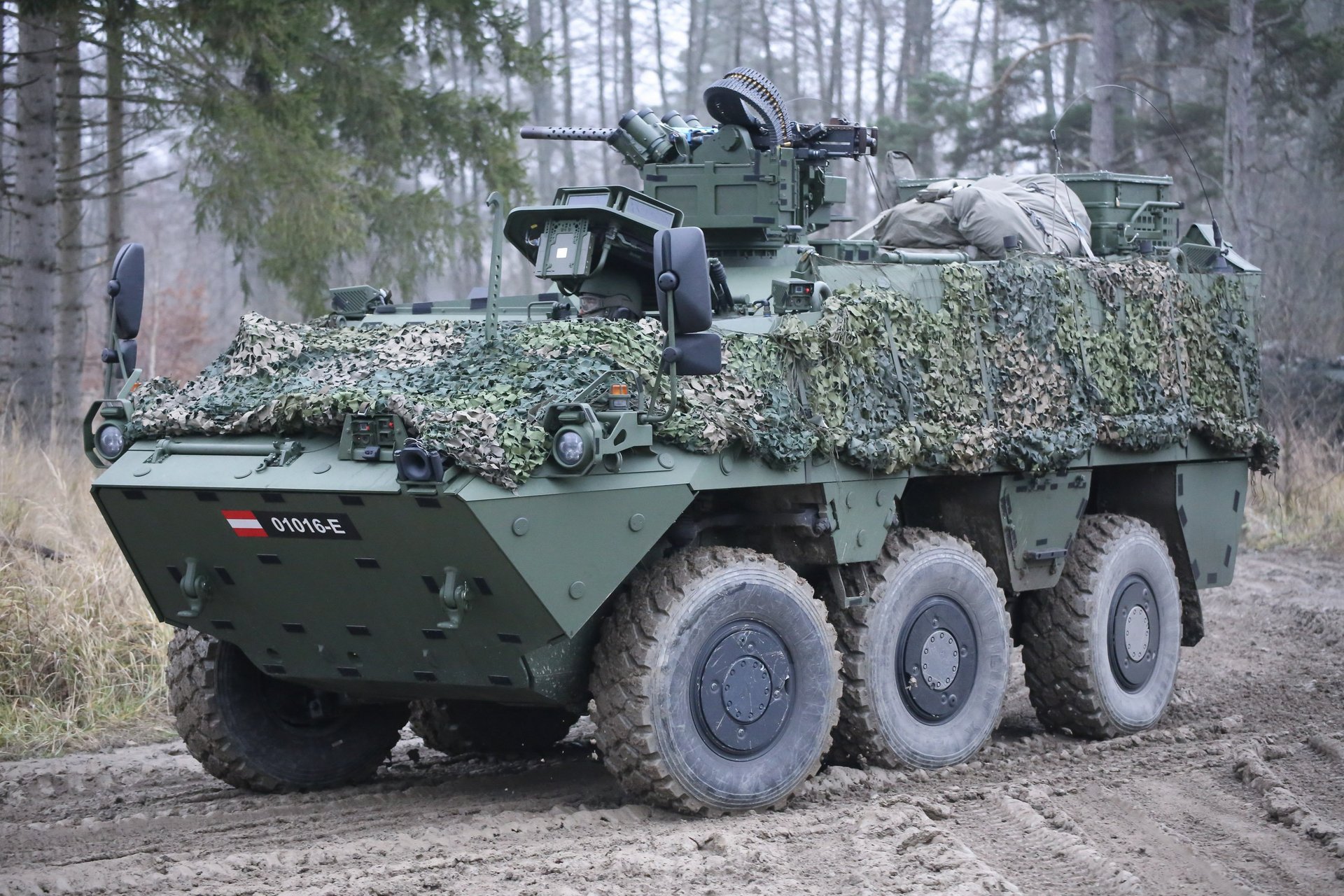 Ein Manschaftstransportpanzer "Pandur Evolution" am Truppenübungsplatz Allentsteig.