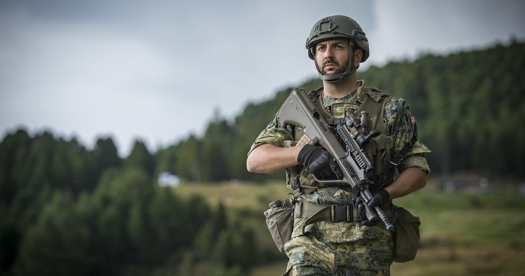Picture of Austrian Armed Forces