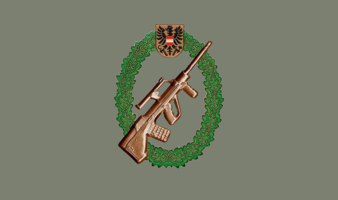 Schießen Gewehr Bronze