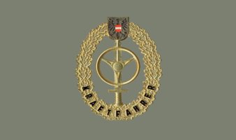 Heereskraftfahrer Gold