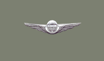 Militär-Fallschirmspringerabzeichen Silber