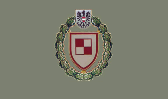 Abzeichen Militär-Luftbildner