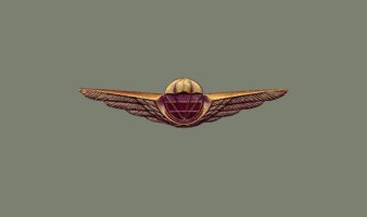 Militär-Fallschirmspringerabzeichen Bronze