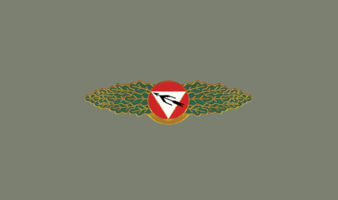 Fliegerabwehr