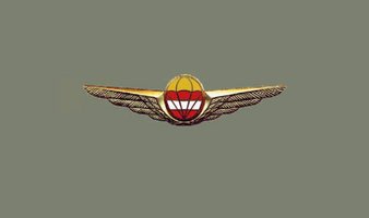 Abzeichen Militär-Fallschirmspringerabzeichen gold