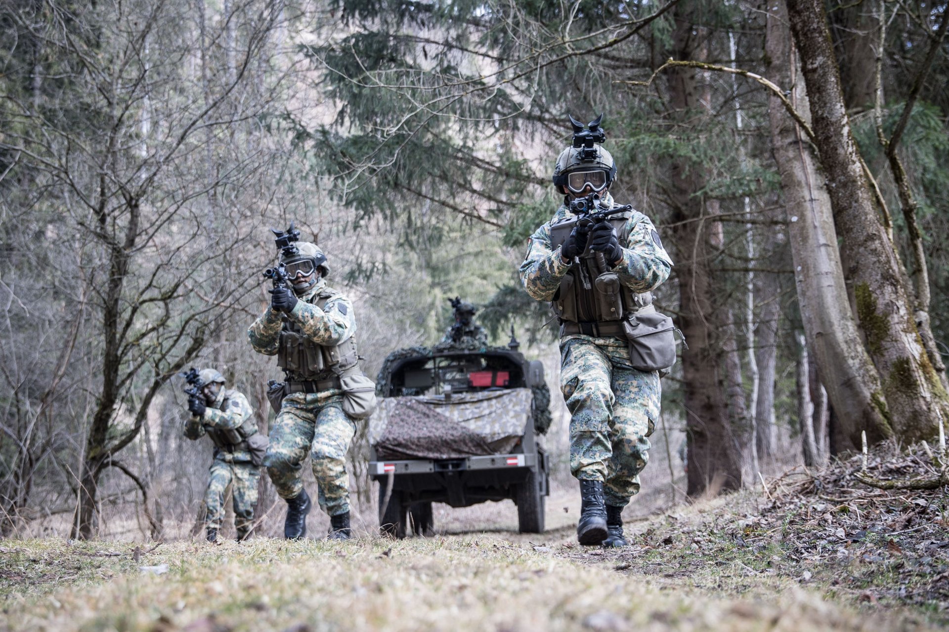 Soldaten beobachten im Burgenland die Staatsgrenze zu Ungarn.