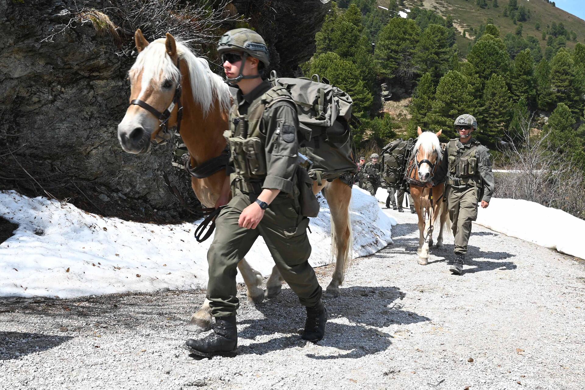 Soldaten und Haflinger-Pferde marschieren im Gebirge.