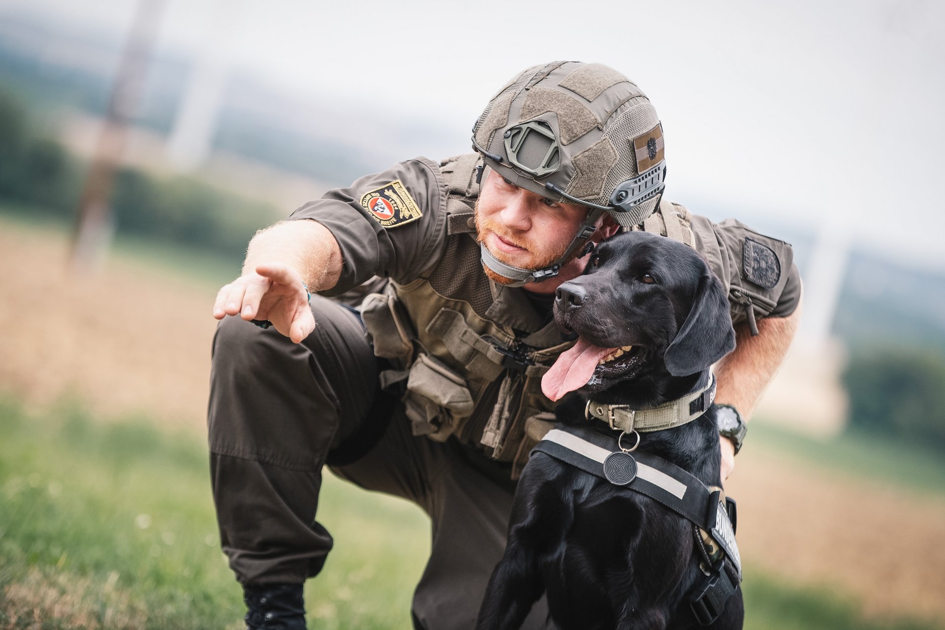 Ein Labrador während der Ausbildung.