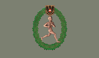 Orientierungslauf Bronze