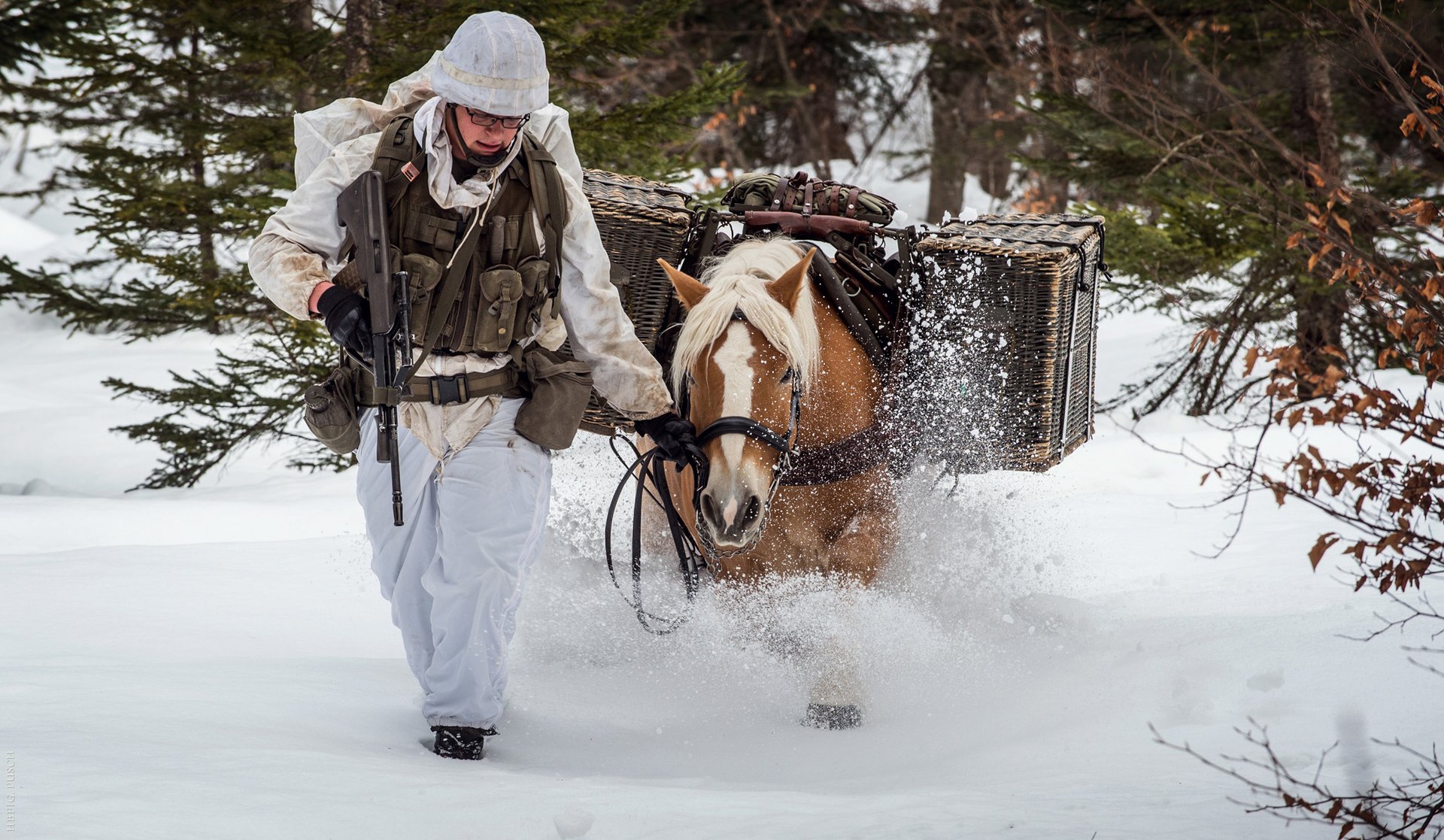 Ein Soldat der Tragtierstaffel und ein Haflinger marschieren in tiefem Schnee.