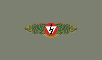 Fernmeldedienst